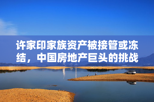 许家印家族资产被接管或冻结，中国房地产巨头的挑战与反思