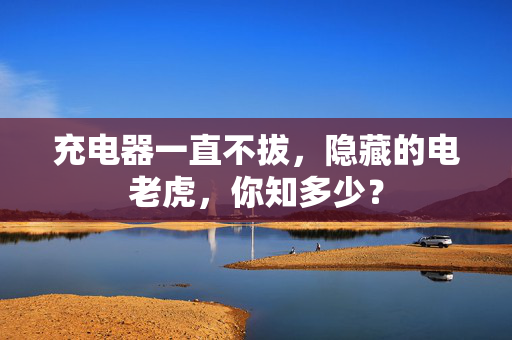 充电器一直不拔，隐藏的电老虎，你知多少？