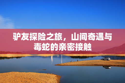驴友探险之旅，山间奇遇与毒蛇的亲密接触