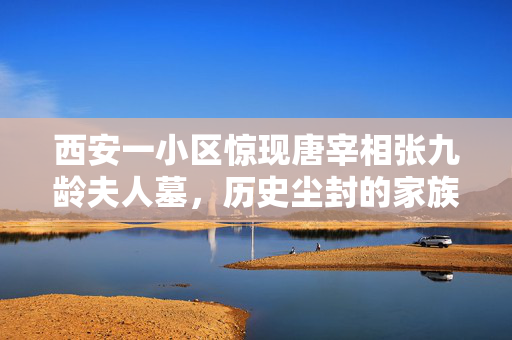 西安一小区惊现唐宰相张九龄夫人墓，历史尘封的家族秘密重见天日