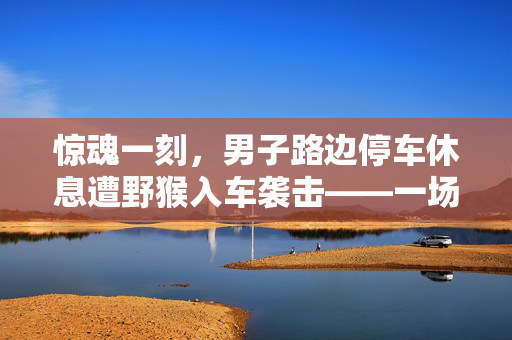 惊魂一刻，男子路边停车休息遭野猴入车袭击——一场人与自然的意外交锋