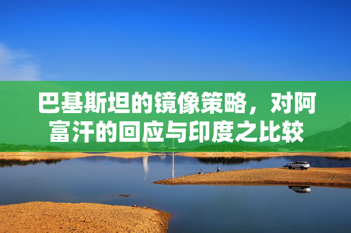 巴基斯坦的镜像策略，对阿富汗的回应与印度之比较