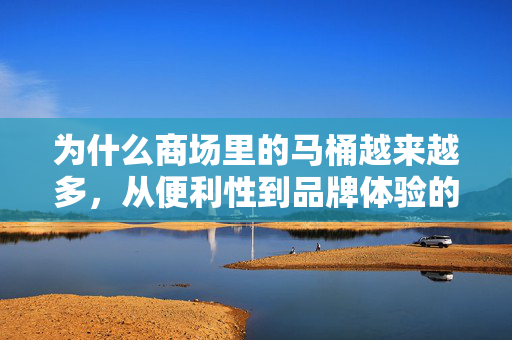 为什么商场里的马桶越来越多，从便利性到品牌体验的全面升级