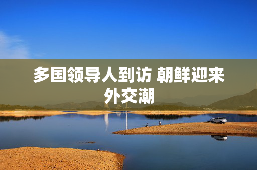 多国领导人到访 朝鲜迎来外交潮