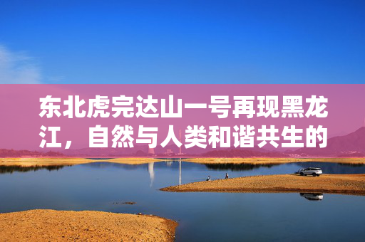 东北虎完达山一号再现黑龙江，自然与人类和谐共生的新篇章