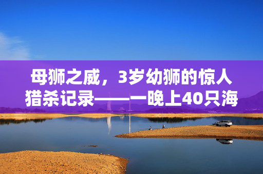母狮之威，3岁幼狮的惊人猎杀记录——一晚上40只海豹的奇迹