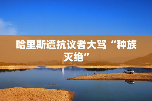 哈里斯遭抗议者大骂“种族灭绝”