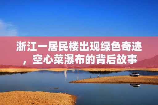 浙江一居民楼出现绿色奇迹，空心菜瀑布的背后故事