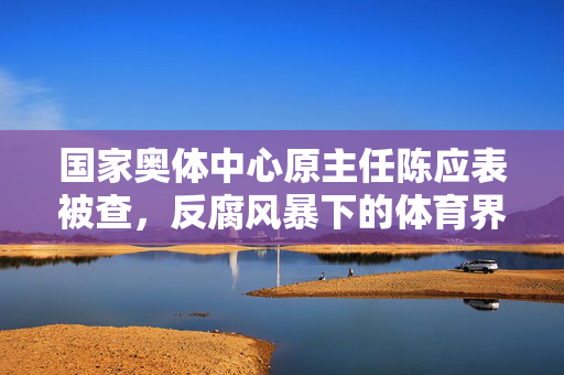 国家奥体中心原主任陈应表被查，反腐风暴下的体育界警钟