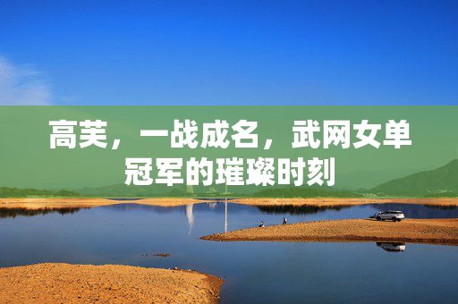 高芙，一战成名，武网女单冠军的璀璨时刻