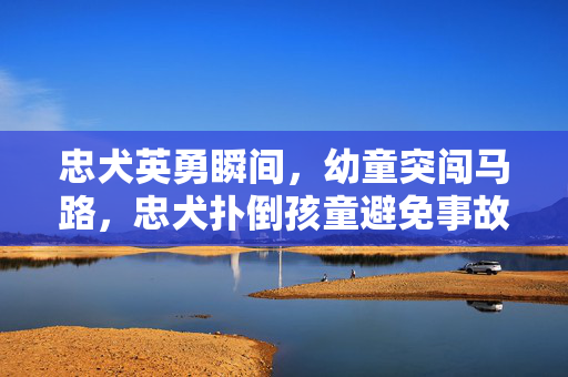 忠犬英勇瞬间，幼童突闯马路，忠犬扑倒孩童避免事故