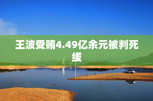 王波受贿4.49亿余元被判死缓