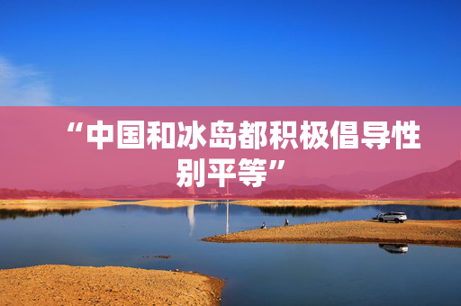 “中国和冰岛都积极倡导性别平等”