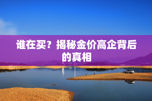 谁在买？揭秘金价高企背后的真相