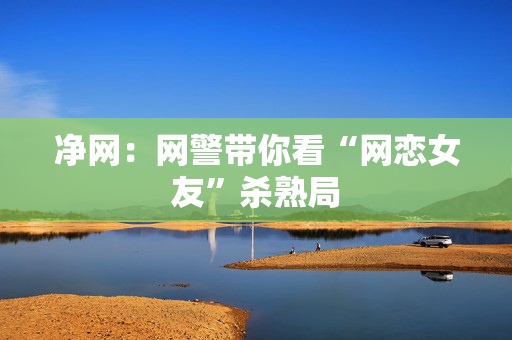 净网：网警带你看“网恋女友”杀熟局
