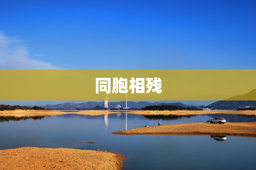 同胞相残