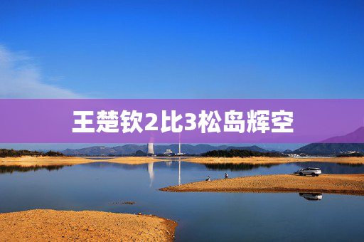 王楚钦2比3松岛辉空