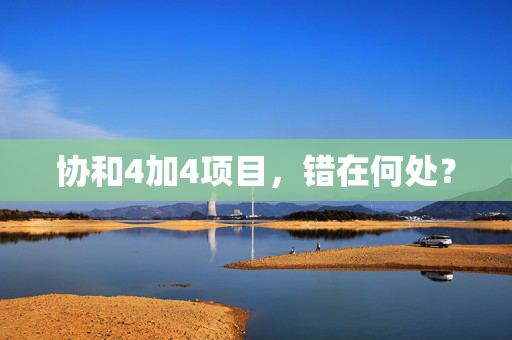 协和4加4项目，错在何处？