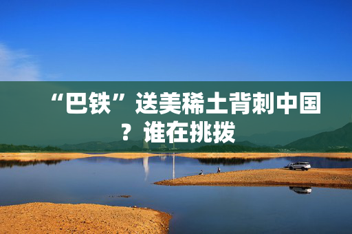 “巴铁”送美稀土背刺中国？谁在挑拨