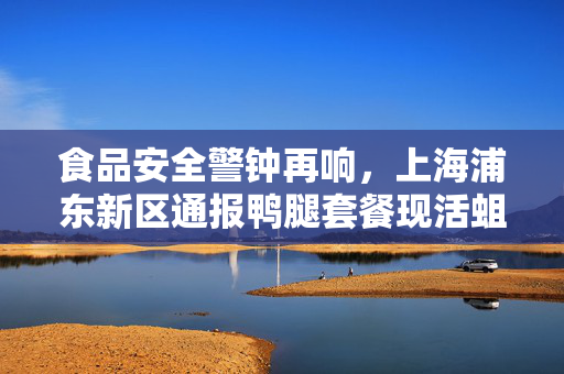 食品安全警钟再响，上海浦东新区通报鸭腿套餐现活蛆事件深度剖析与反思