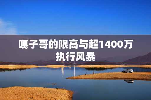 嘎子哥的限高与超1400万执行风暴