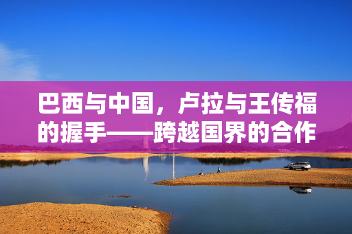 巴西与中国，卢拉与王传福的握手——跨越国界的合作与友谊