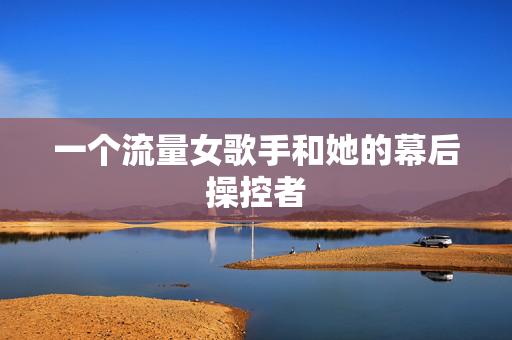 一个流量女歌手和她的幕后操控者