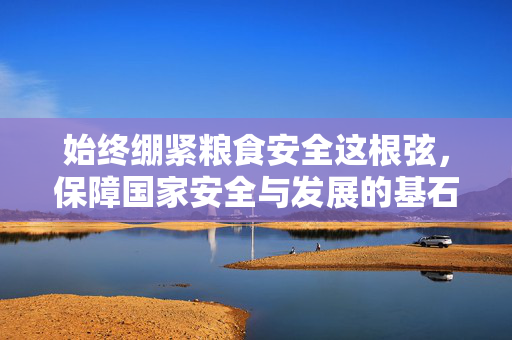 始终绷紧粮食安全这根弦，保障国家安全与发展的基石
