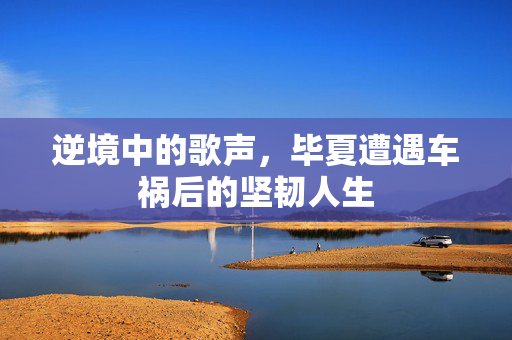 逆境中的歌声，毕夏遭遇车祸后的坚韧人生