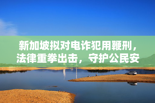 新加坡拟对电诈犯用鞭刑，法律重拳出击，守护公民安全与尊严
