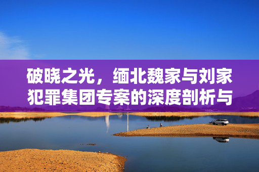 破晓之光，缅北魏家与刘家犯罪集团专案的深度剖析与侦破纪实