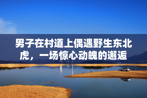 男子在村道上偶遇野生东北虎，一场惊心动魄的邂逅