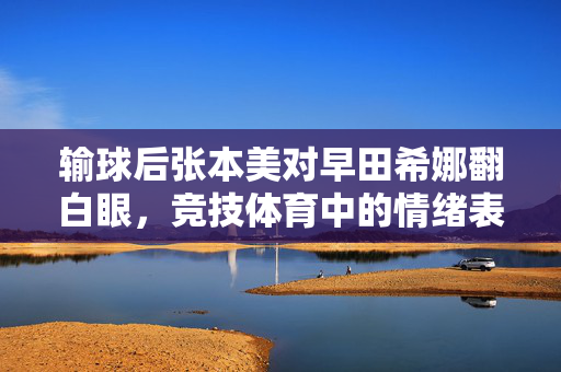 输球后张本美对早田希娜翻白眼，竞技体育中的情绪表达与团队文化