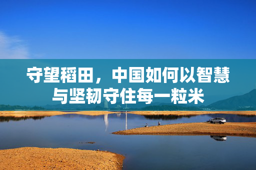 守望稻田，中国如何以智慧与坚韧守住每一粒米
