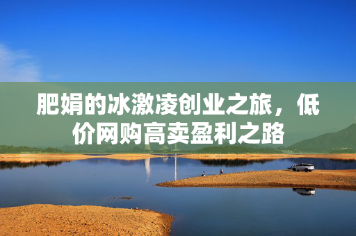 肥娟的冰激凌创业之旅，低价网购高卖盈利之路