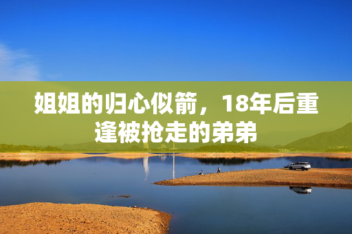 姐姐的归心似箭，18年后重逢被抢走的弟弟