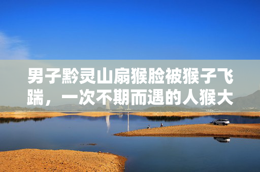 男子黔灵山扇猴脸被猴子飞踹，一次不期而遇的人猴大战
