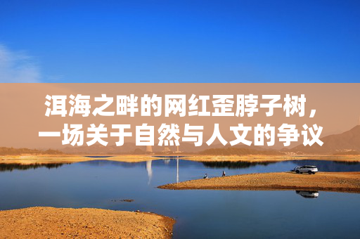 洱海之畔的网红歪脖子树，一场关于自然与人文的争议