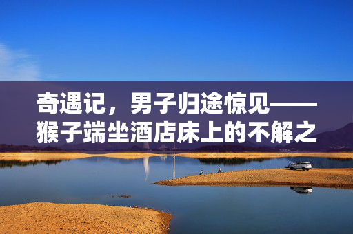 奇遇记，男子归途惊见——猴子端坐酒店床上的不解之缘