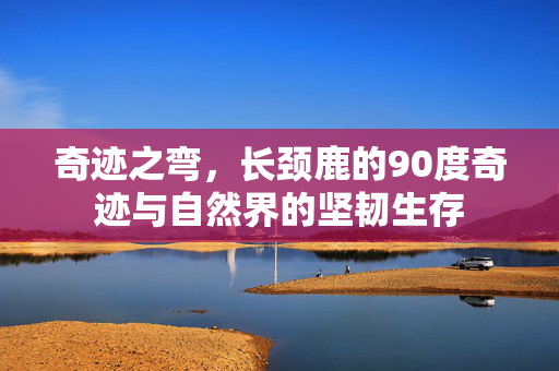 奇迹之弯，长颈鹿的90度奇迹与自然界的坚韧生存