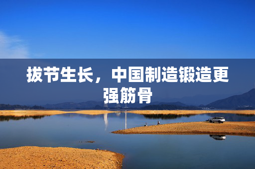 拔节生长，中国制造锻造更强筋骨