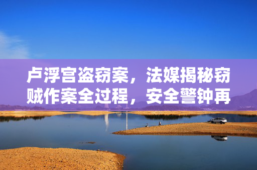 卢浮宫盗窃案，法媒揭秘窃贼作案全过程，安全警钟再响