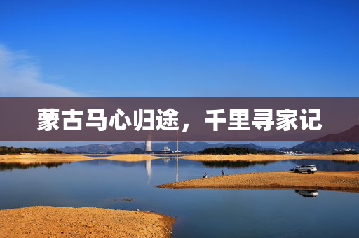蒙古马心归途，千里寻家记