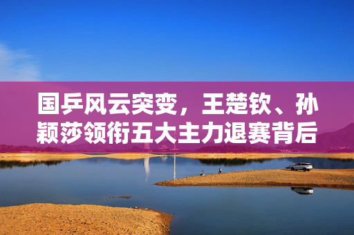 国乒风云突变，王楚钦、孙颖莎领衔五大主力退赛背后的深思