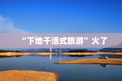 “下地干活式旅游”火了