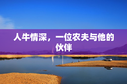 人牛情深，一位农夫与他的伙伴