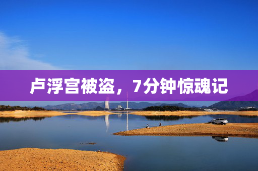 卢浮宫被盗，7分钟惊魂记