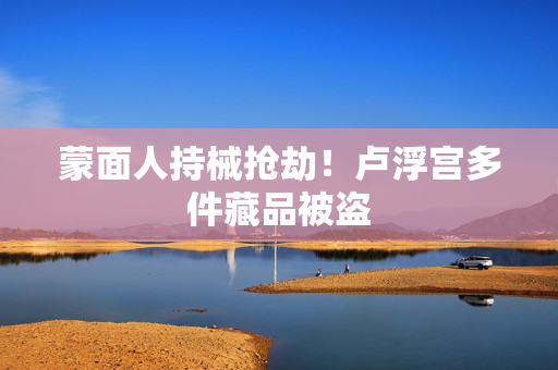 蒙面人持械抢劫！卢浮宫多件藏品被盗