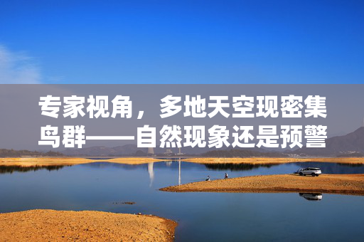 专家视角，多地天空现密集鸟群——自然现象还是预警信号？