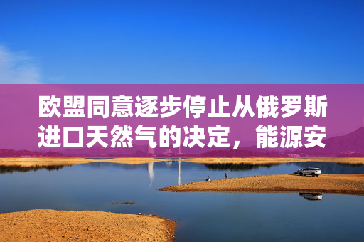欧盟同意逐步停止从俄罗斯进口天然气的决定，能源安全与地缘政治的双重考量